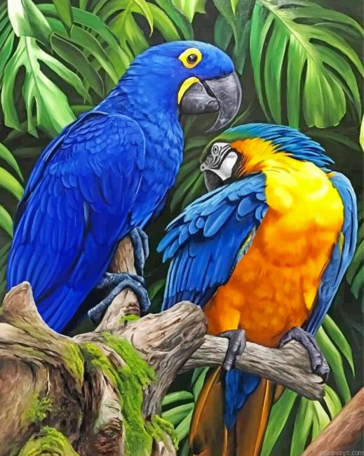 Tropical Macaws Painting By Numbers.png