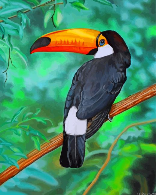 Tropical Toucan Painting By Numbers.png