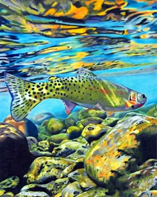 Trout Fish Painting By Numberss.png