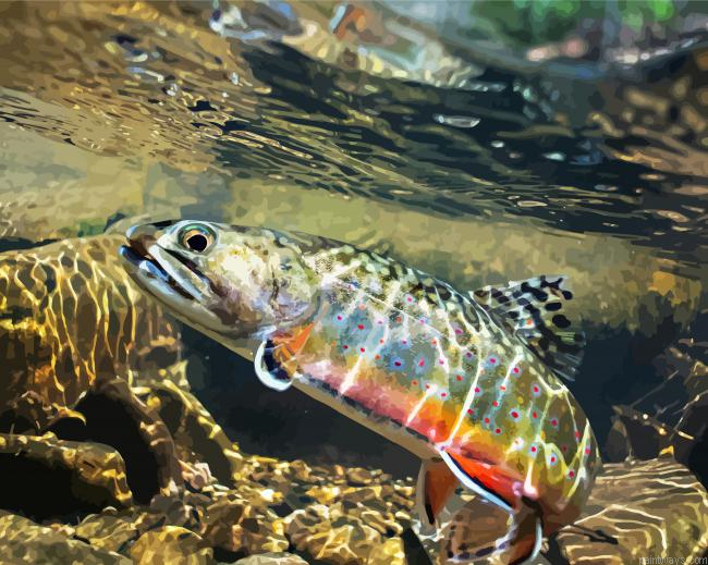 Trout Stream Water Painting By Numberss.png