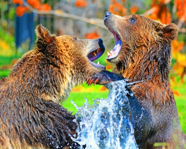 Two Bears Playing In Lake Animals Painting By Numberss.png