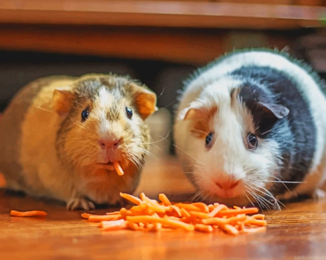 Two Hamsters Eating New Painting By Numberss.png