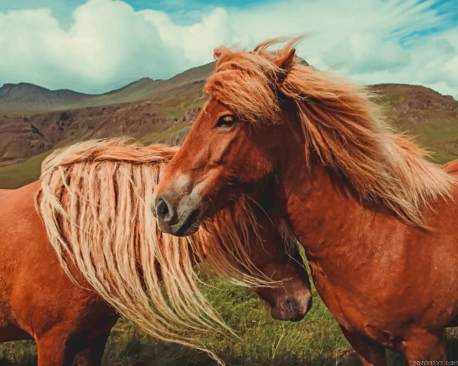 Two Horses In Wilderness Animals Painting By Numberss.png