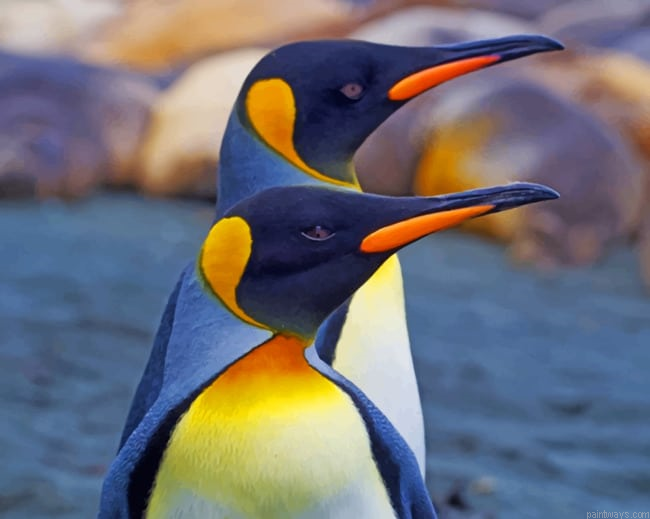 Two Penguins Birds Painting By Numberss.png