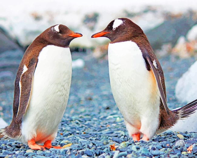 Two Penguins Standing Animals Painting By Numberss.png
