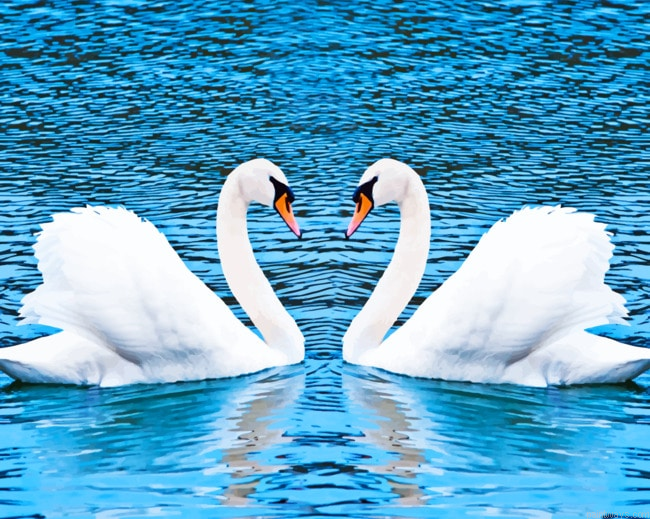Two Swans Birds Painting By Numberss.png
