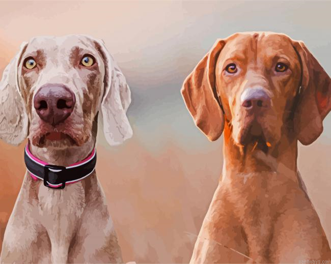 Two Weimaraner Dogs Painting By Numberss.png