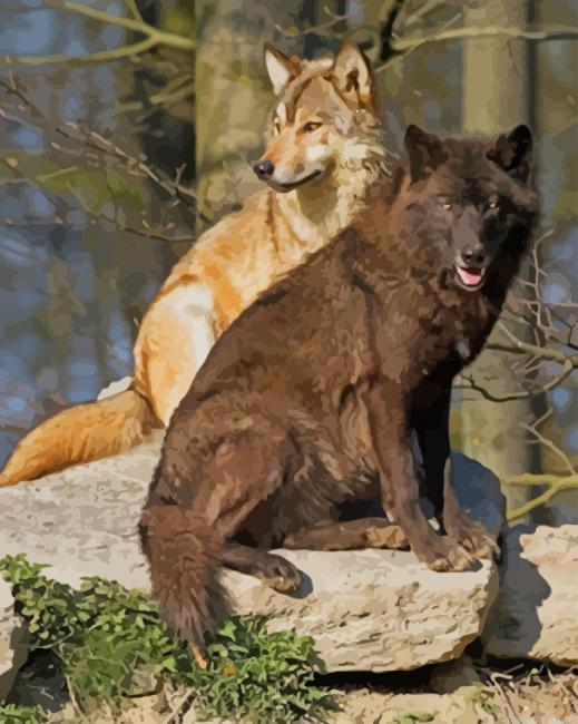 Two Wolves Sitting Together New Painting By Numberss.png