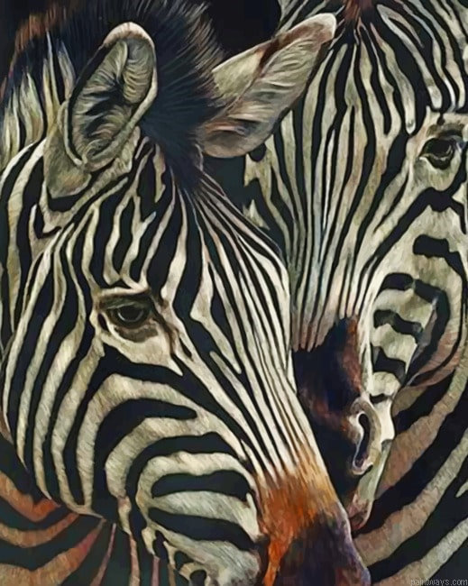 Two Zebras New Painting By Numberss.png