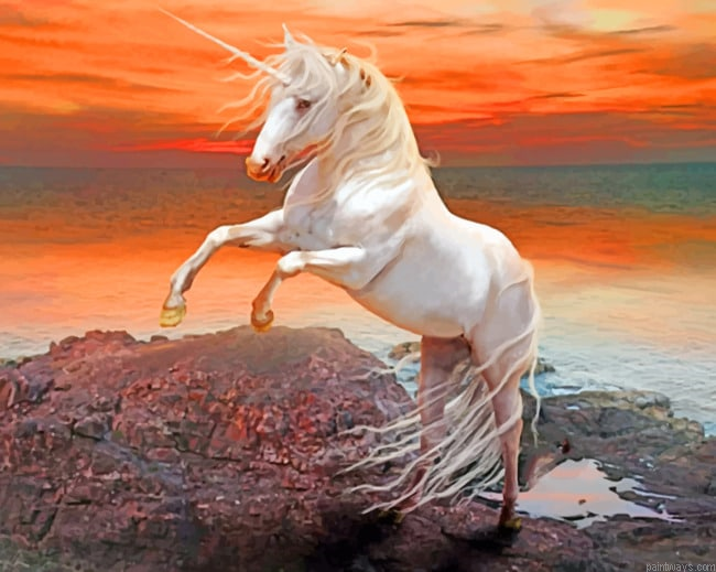 Unicorn In Ocean Animals Painting By Numberss.png