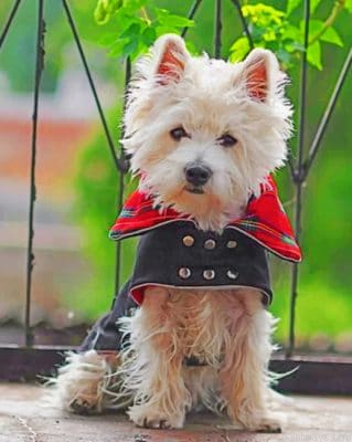 Vampire Westie Painting By Numbers.png