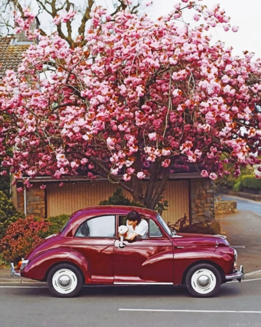 Vintage Car Under A Tree New Painting By Numberss.png