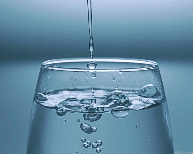 Water Cup New Painting By Numberss.png