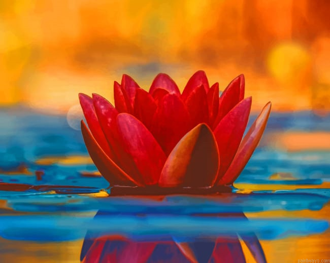 Water Lily Flower Pond Paint By Numbers.png