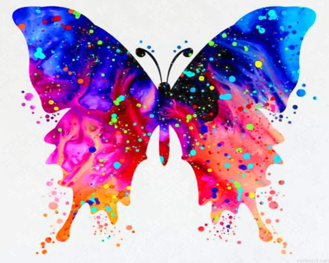 Watercolor Butterfly Insects Painting By Numberss.png