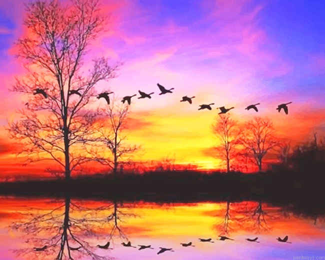 Waterfowl Sunset New Painting By Numberss.png
