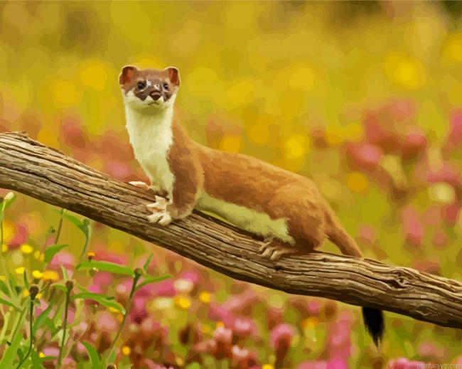 Weasel On Branch Painting By Numberss.png