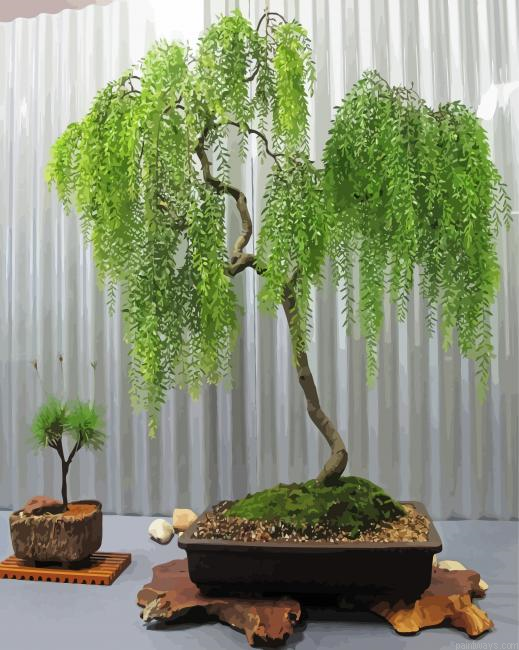 Weeping Willow In Pot Painting By Numberss.png