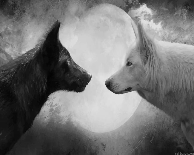 White And Black Wolves New Painting By Numberss.png