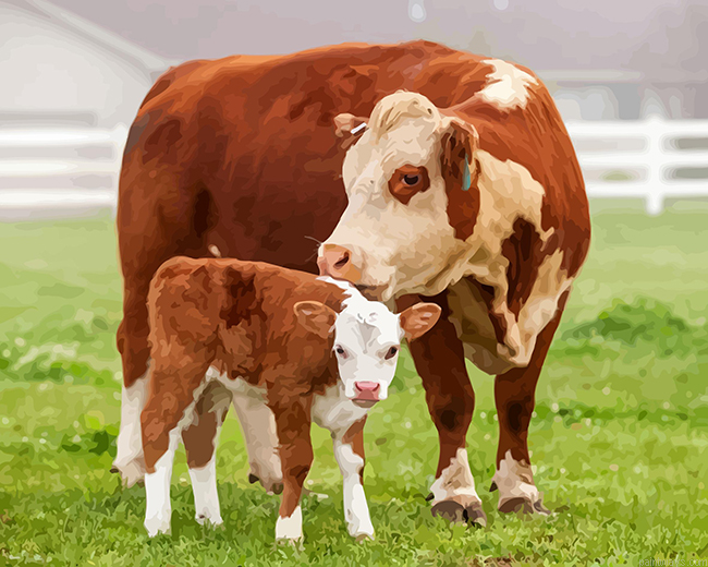 White And Brown Cows Painting By Numbers.png