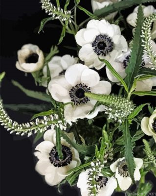 White Anemone Painting By Numbers.png