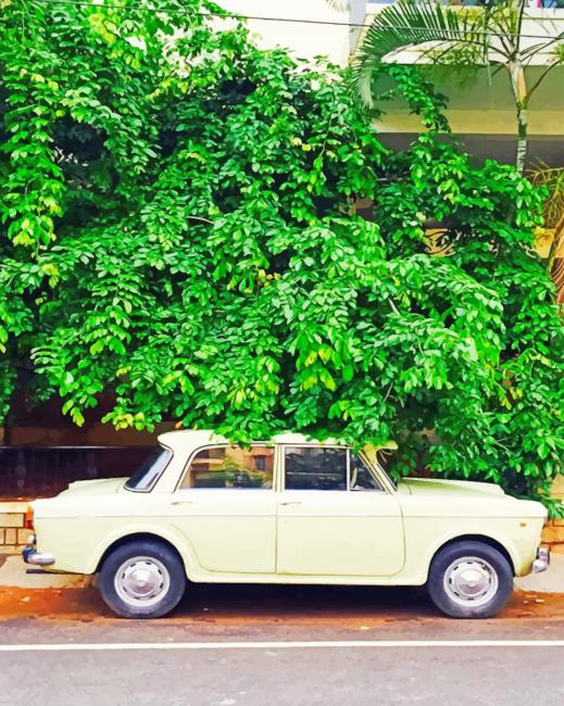 White Car Under A Tree New Painting By Numberss.png