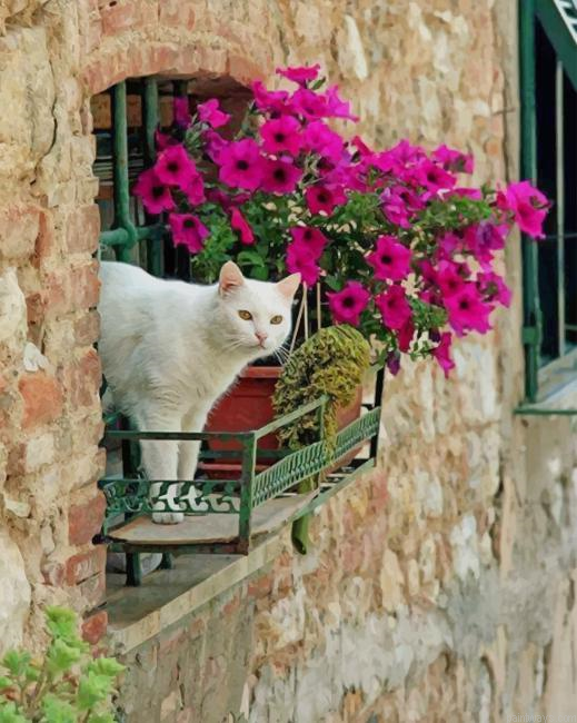 White Cat In A Window New Painting By Numberss.png
