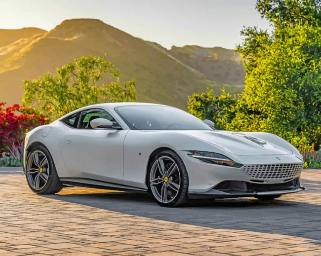 White Ferrari Painting By Numberss.png