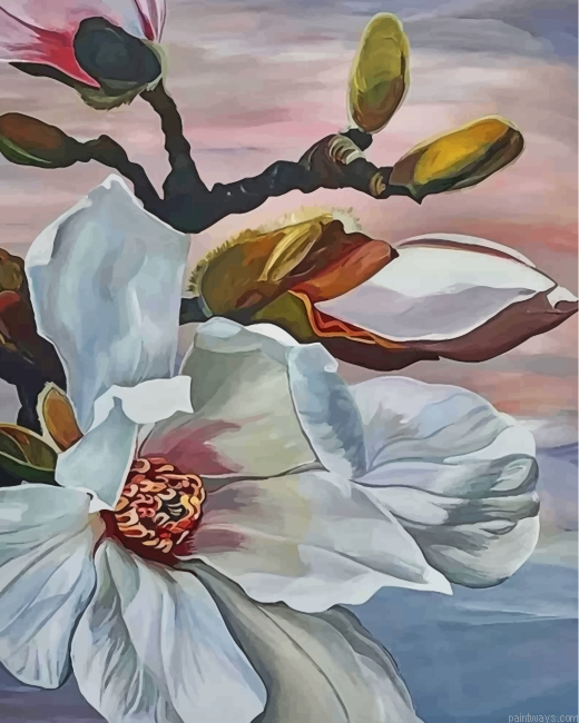 White Flower Painting By Numbers.png