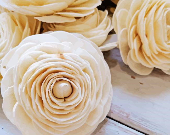 White Ranunculus Flowers Painting By Numberss.png