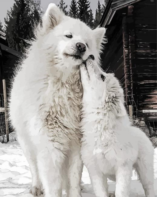 White Samoyeds Dogs Painting By Numberss.png