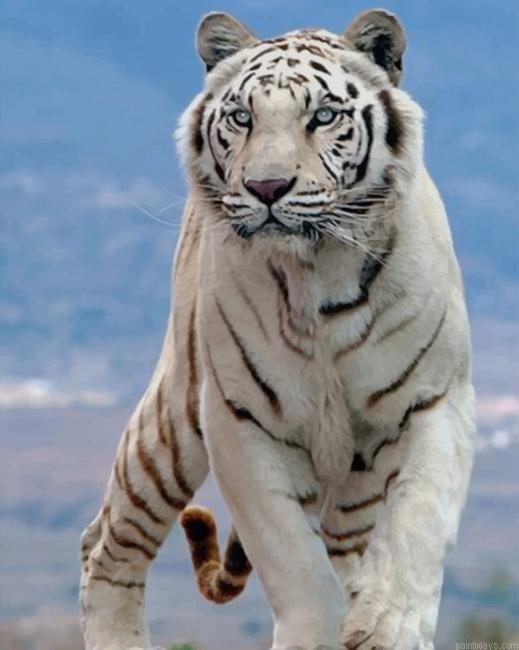 White Tiger New Painting By Numberss.png