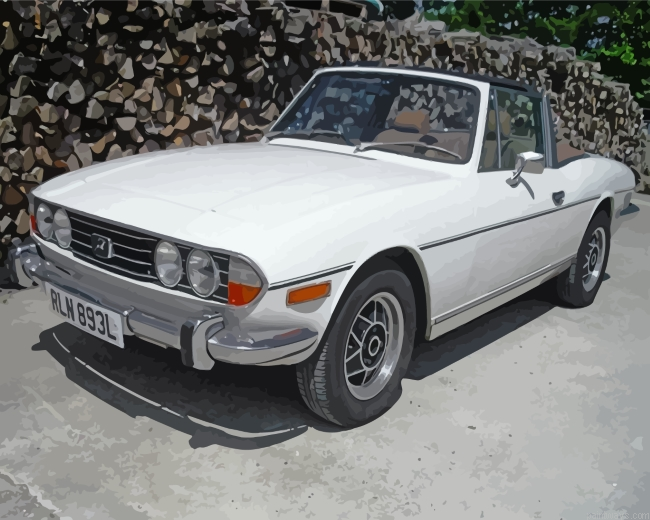 White Triumph Stag Painting By Numbers.png
