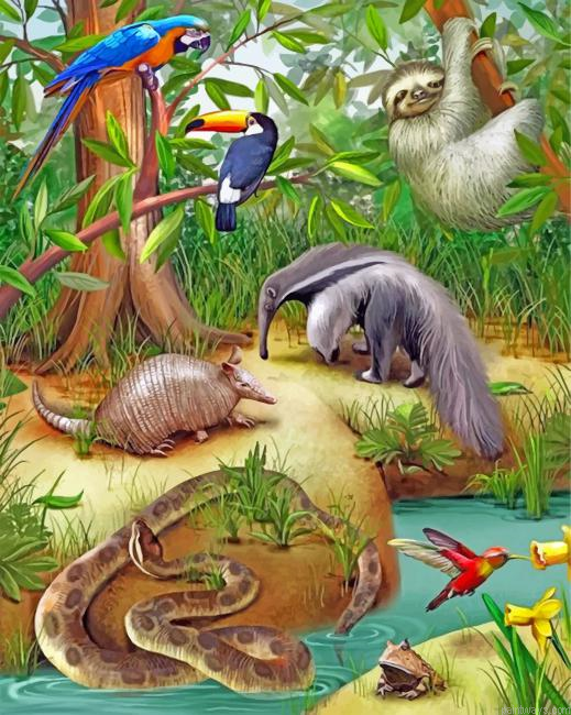 Wild Animals Painting By Numbers.png
