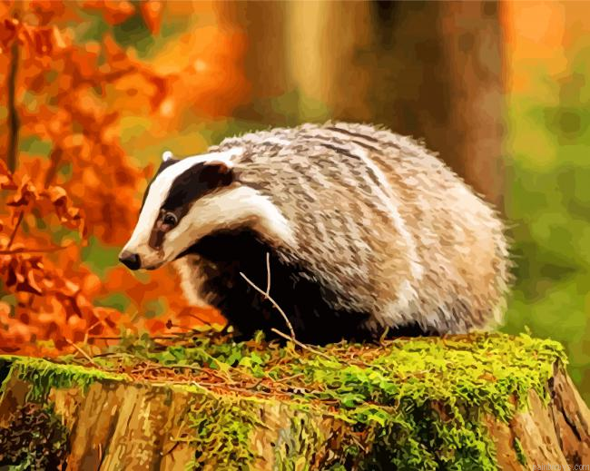 Wild Badger Painting By Numbers.png
