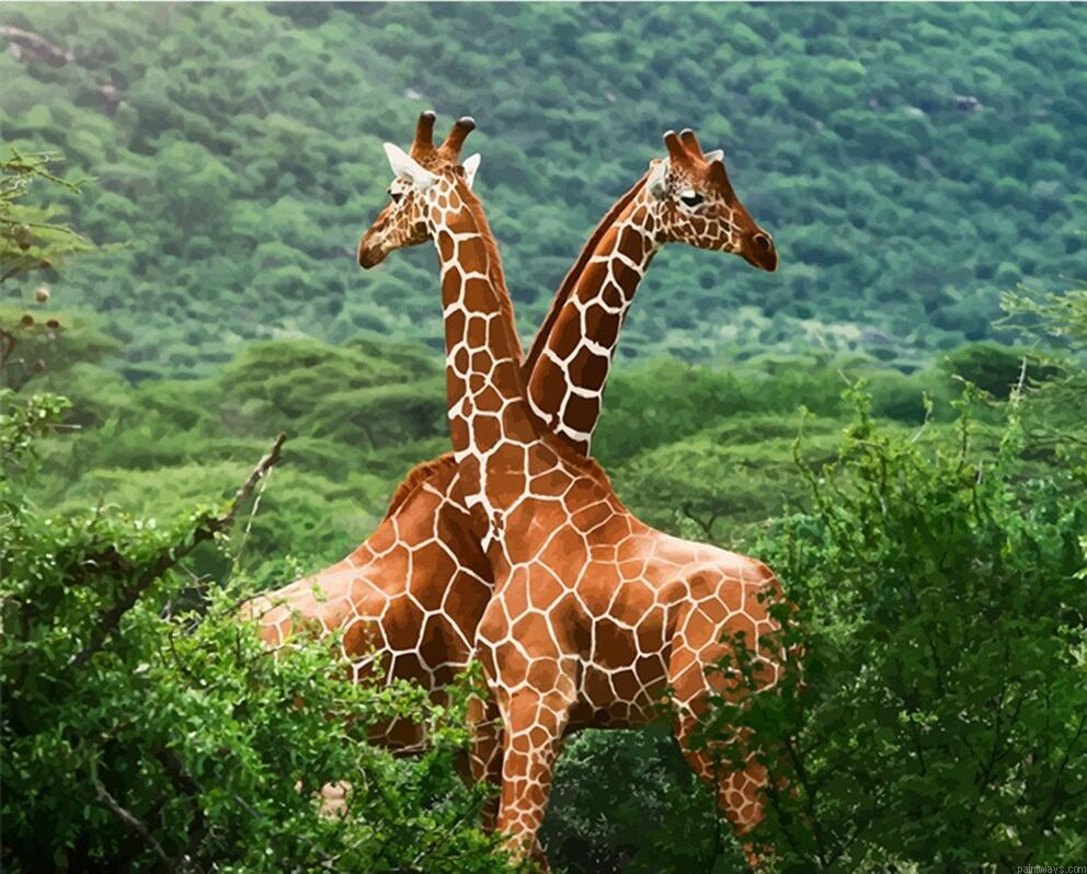 Wild Giraffe Animals Painting By Numberss.png