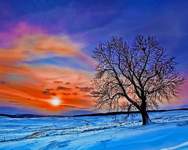 Winter Beautiful Sunset New Painting By Numberss.png