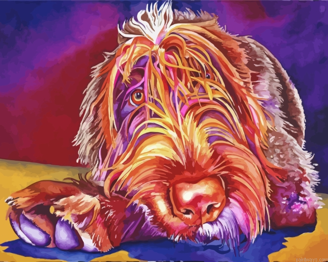 Wirehaired Pointing Griffon Painting By Numbers.png