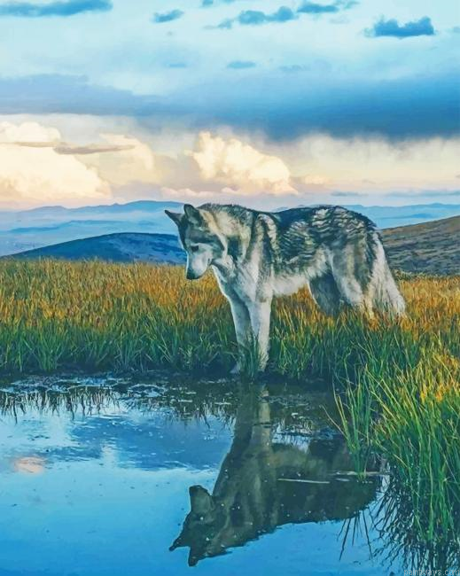 Wolf In Forest New Painting By Numberss.png