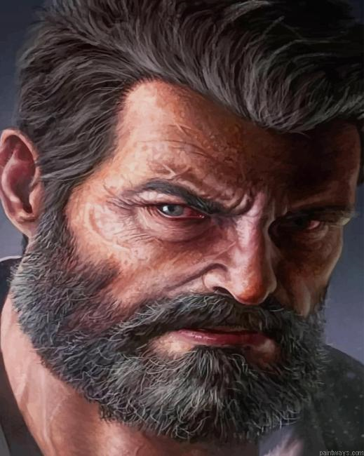 Wolverine New Painting By Numberss.png