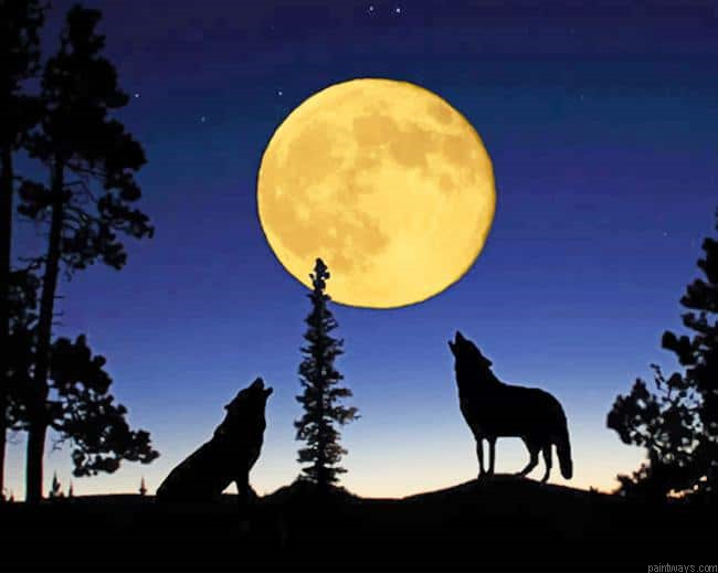 Wolves Howling To The Moon New Painting By Numberss.png