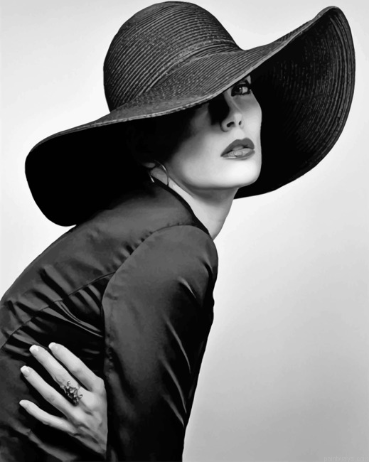 Woman In Classy Hat Painting By Numbers.png