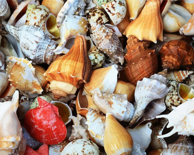 Wonderful Seashells Painting By Numberss.png