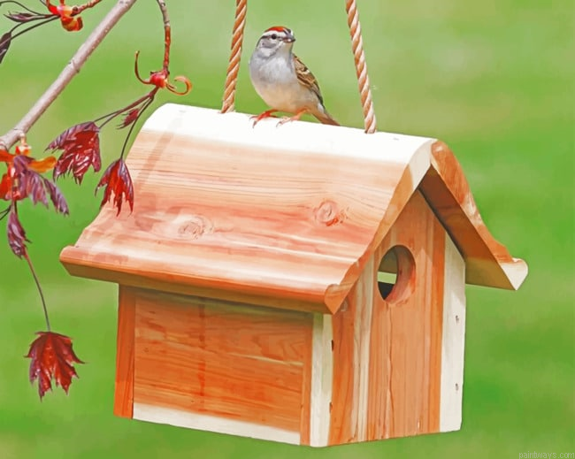 Wooden Birdhouse Painting By Numberss.png