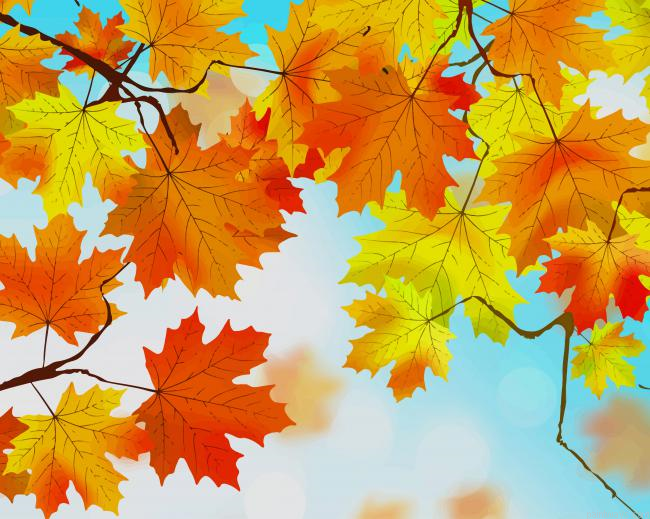 Yellow Autumn Leaves New Painting By Numberss.png