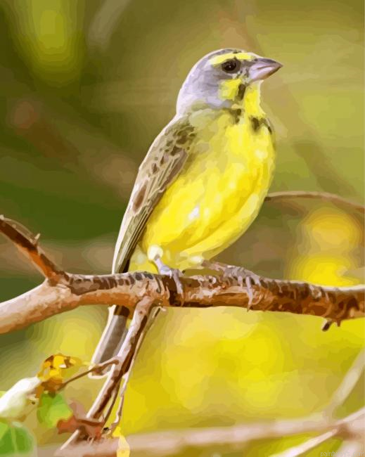 Yellow Canary Painting By Numbers.png