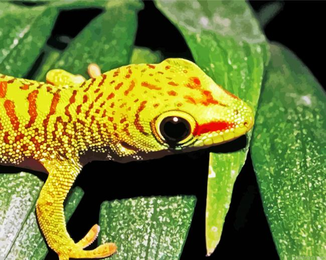 Yellow Gecko Reptile Painting By Numberss.png
