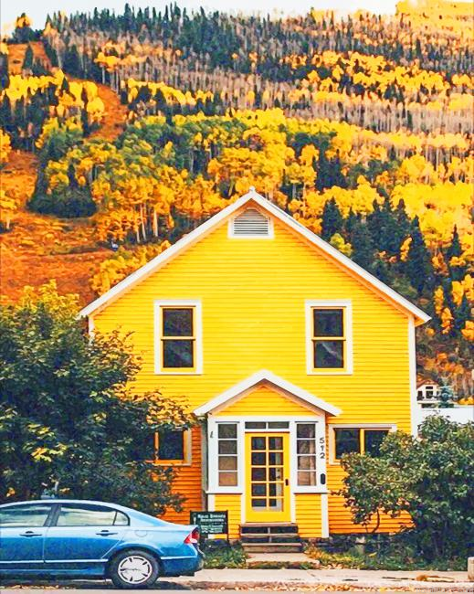 Yellow House Forest New Painting By Numberss.png