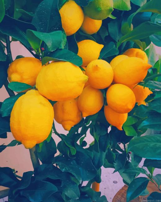 Yellow Lemon Tree Painting By Numberss.png