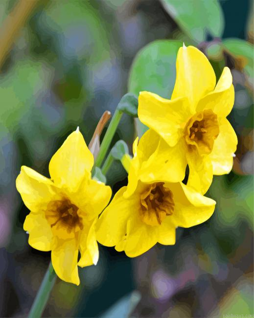 Yellow Narcissus Painting By Numberss.png
